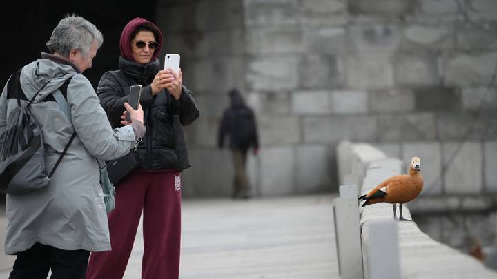 Фото: Пелагия Замятина / Вечерняя Москва