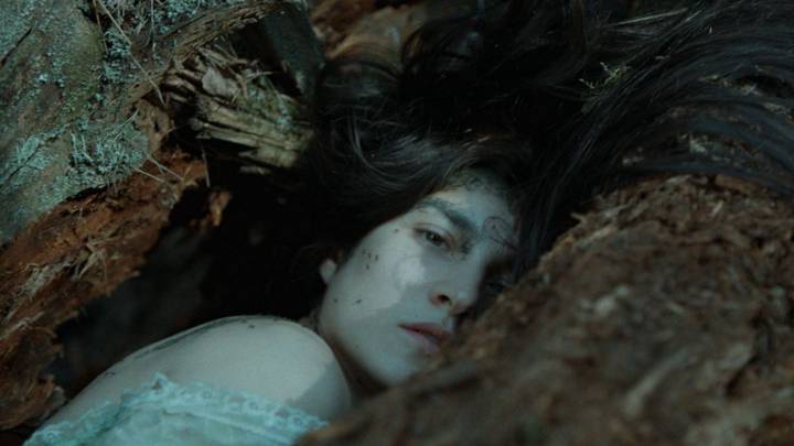 48-й Московский международный кинофестиваль: что посмотреть в 2026