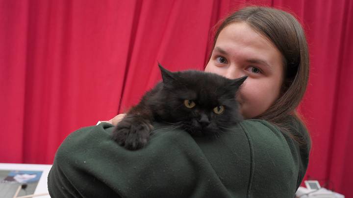 Старт спецпроекта «Моспитомец × Четвероногий друг» в рамках фестиваля «Пасхальный дар» / Фото: Пелагия Замятина / Вечерняя Москва