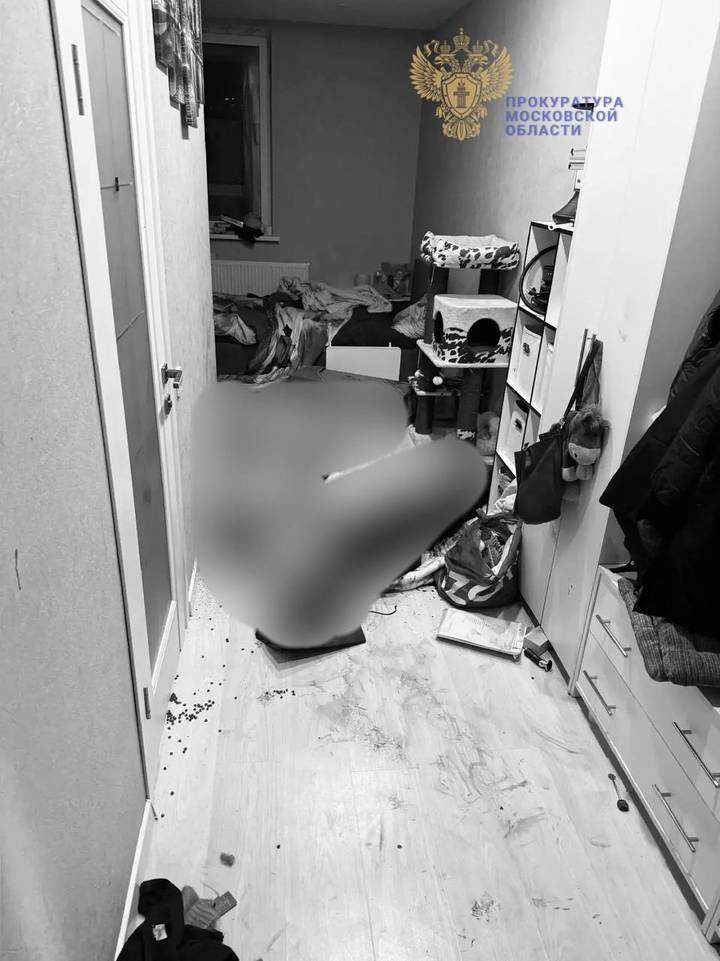 Актер Бенграф и его супруга зарезали друг друга в Мытищах: причина конфликта, биография погибших, детали трагедии