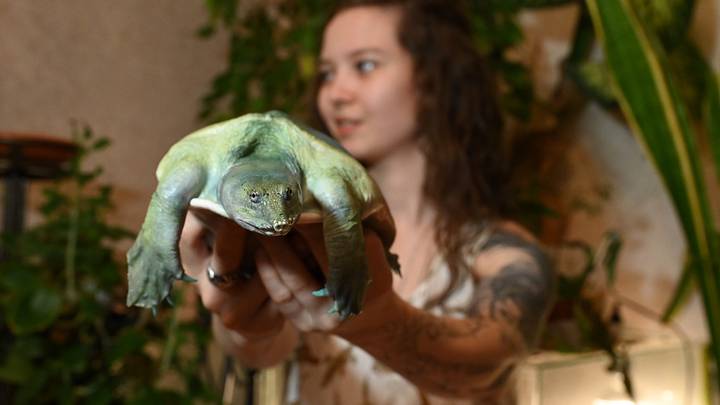 Фото: Мария Хапцова / Вечерняя Москва