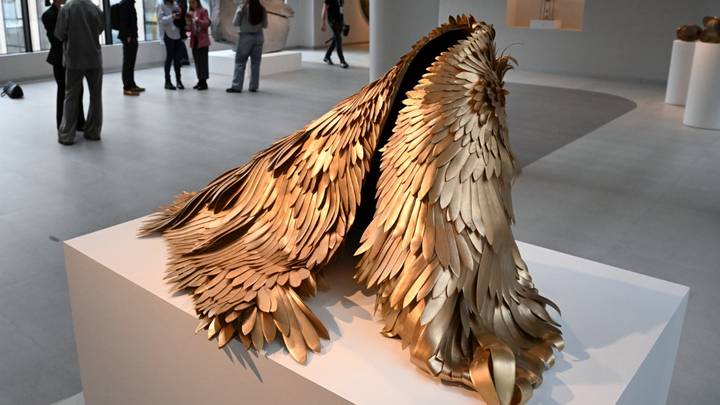 «Нежная кожа», Джанг Ен Мин