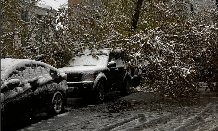 СМИ: Упавшие из-за снегопада в Москве деревья раздавили несколько автомобилей