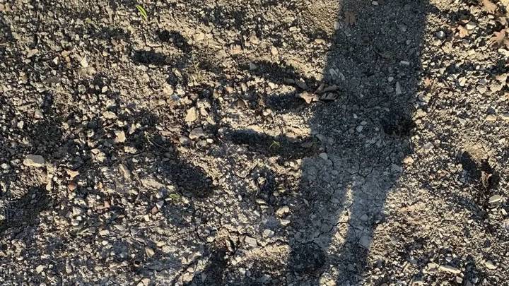 Следы, предположительно, принадлежащие пропавшей в Туапсе девочке