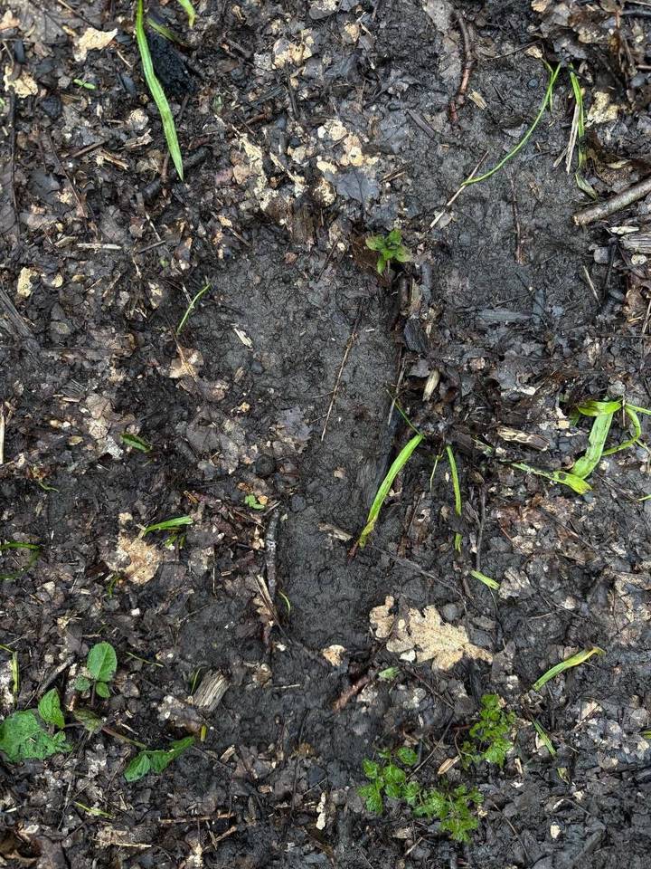 Следы, предположительно, принадлежащие пропавшей в Туапсе девочке