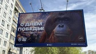Прокуратура и РКН начали проверку из-за баннеров с орангутаном ко Дню Победы