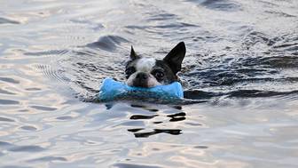 Погода в Москве с 8 по 14 июня: прогноз синоптика