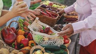 Что грозит россиянам за продажу урожая с огорода