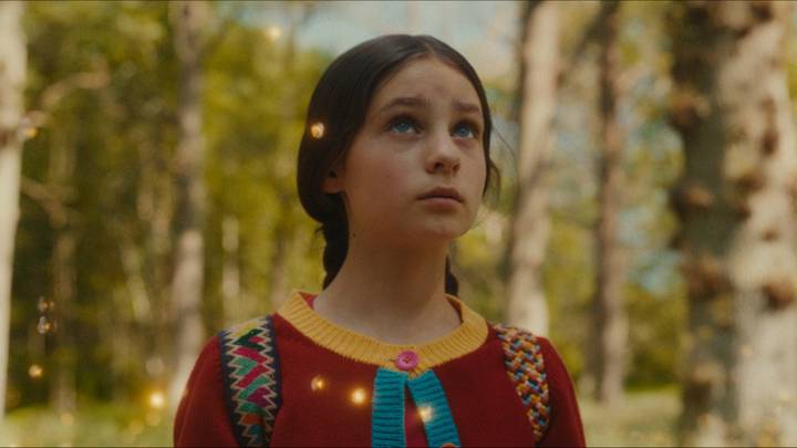 О чем фильм «Вверх по волшебному дереву»