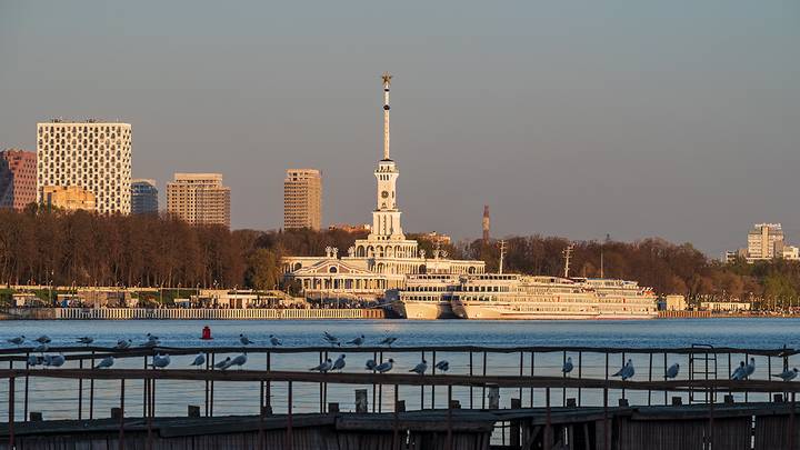 Фото: Дмитрий Дубинский / Вечерняя Москва