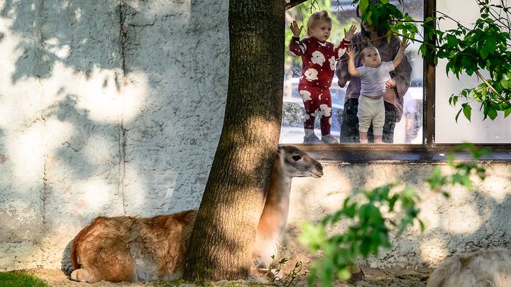 Фото: Дмитрий Дубинский / Вечерняя Москва