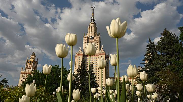 Фото: Анатолий Цымбалюк / Вечерняя Москва