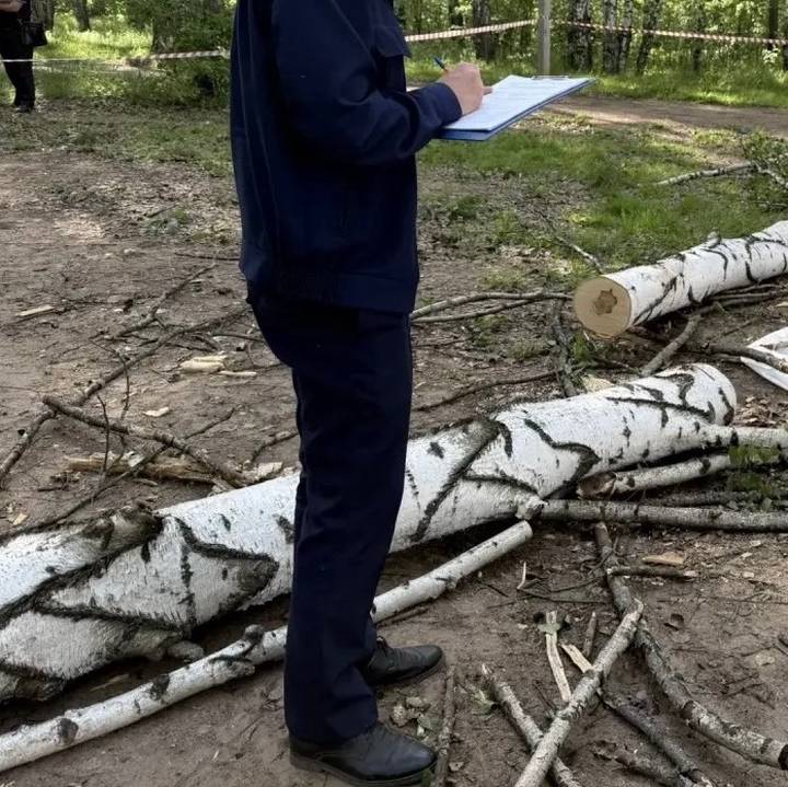 Самые громкие происшествия на выпускных в 2026 году: почему подростки влипают в неприятности после выпускного