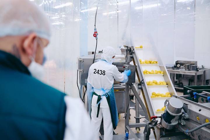 Кто кормит мегаполис: как устроено производство готовой еды для «Пятерочки»