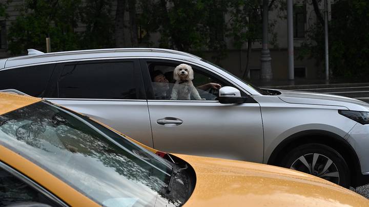 Фото: Александр Кочубей / Вечерняя Москва