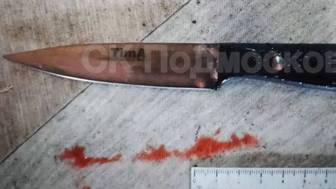 Мужчина зарезал ножом жену в частном доме под Коломной