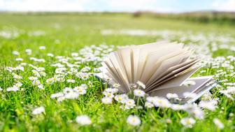 Что почитать летом: 10 книжных новинок июня и июля 2026