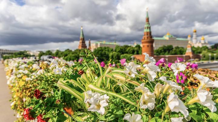 Масштабный проект «Лето в Москве» стартует 30 мая: что посмотреть на его площадках