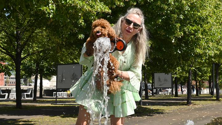 Фото: Анатолий Цымбалюк / Вечерняя Москва
