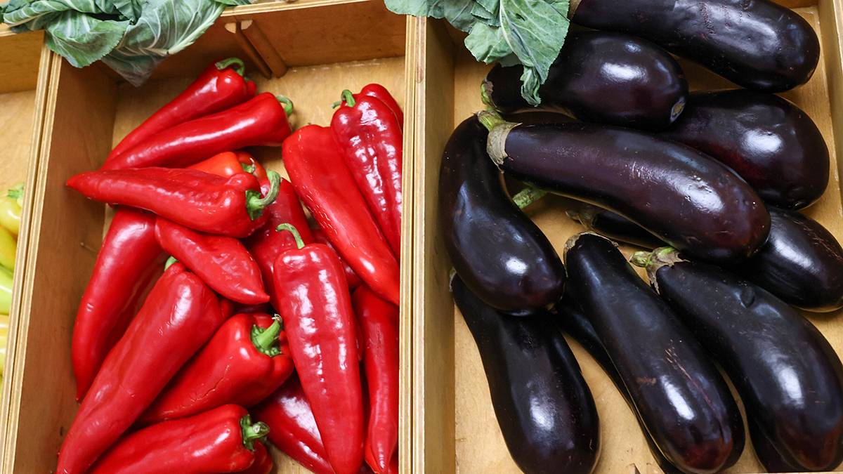 Врач Шуппо перечислила продукты, которые поддержат иммунитет осенью