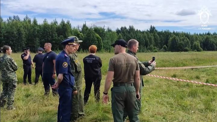 Убийство девочки в СНТ в Ленобласти: что известно, кого задержали