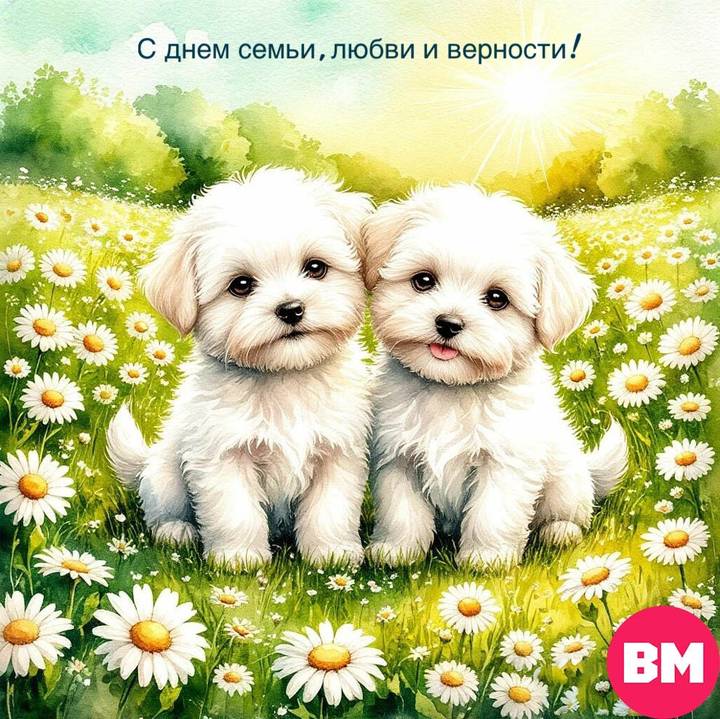 День семьи любви и верности 8 июля 2026 года: открытки скачать бесплатно