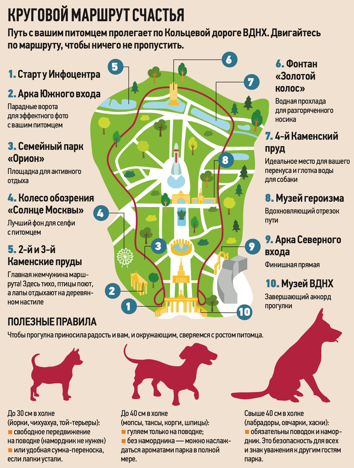 «Бобик в гостях у ВДНХ»: где в Москве погулять с питомцем, выпить кофе и пройти тренинг