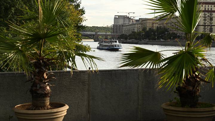 Фото: Анатолий Цымбалюк / Вечерняя Москва