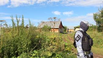 Двум пермякам закрыли выезд за границу из-за заросшего борщевиком участка