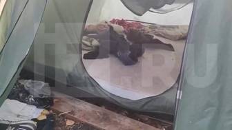 Появились кадры из палатки на Алтае, откуда медведь вытащил 29-летнюю сотрудницу МЧС