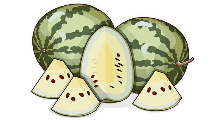Хороша пицца из арбуза лунного: необычные рецепты и сорта любимого летнего лакомства