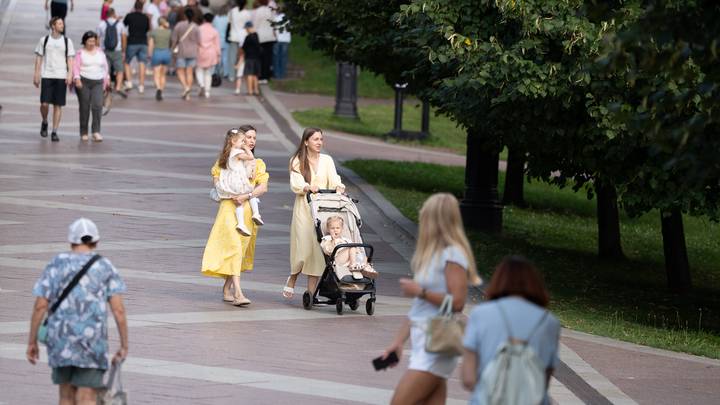 Фото: Андрей Прошин / Вечерняя Москва
