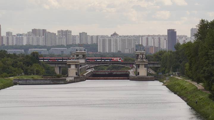 Фото: Анатолий Цымбалюк / Вечерняя Москва
