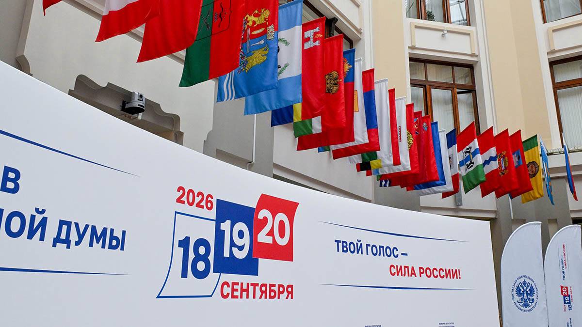 ЦИК: ДЭГ в Москве работает штатно, несмотря на продолжающиеся попытки атак