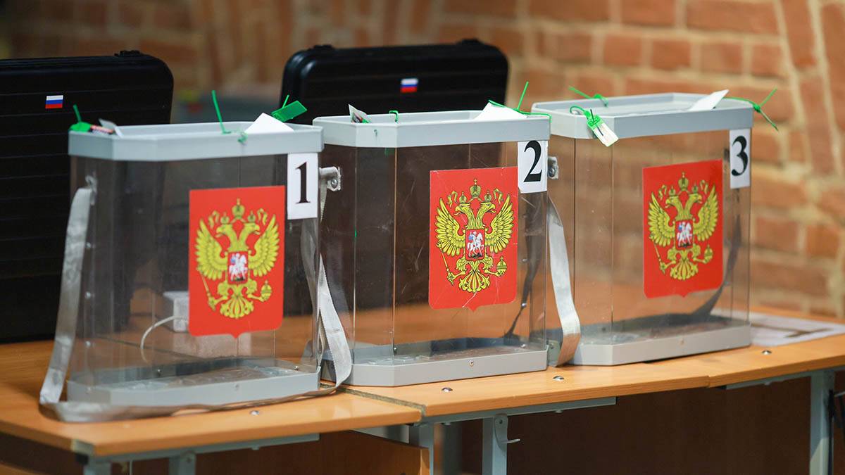 Эксперт Орлеанская: ДЭГ является одним из главных способов голосования в Москве