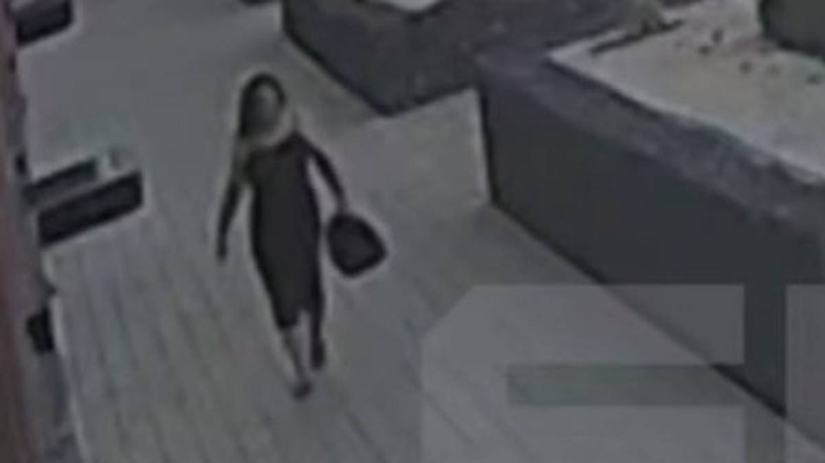 Екатеринбуржцы спасли рыжего котенка, выброшенного в мусорный контейнер у ЖК
