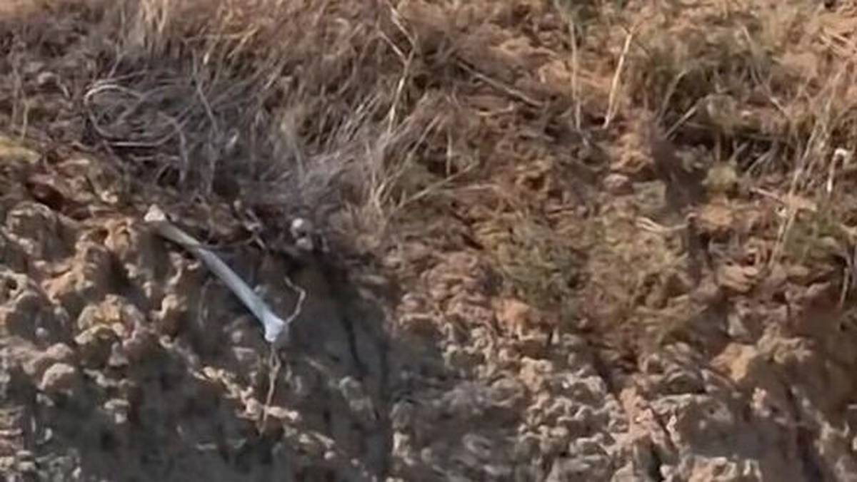 Человеческие останки со старого кладбища вынесло на берег Дона в Ростовской области