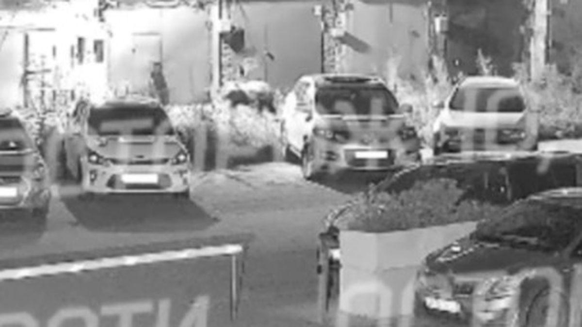 Медведя заметили во дворе жилого комплекса в Кемерово