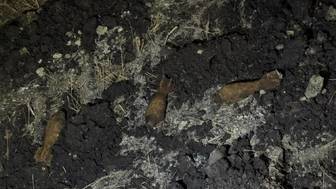 Боеприпасы и останки времен ВОВ обнаружили на Ставрополье