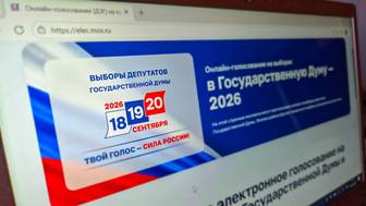 Онлайн-голосование на выборах продолжается на mos.ru в круглосуточном режиме