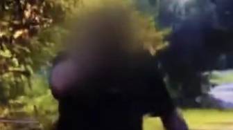Москвича избили в парке на Каширском шоссе в Москве: видео