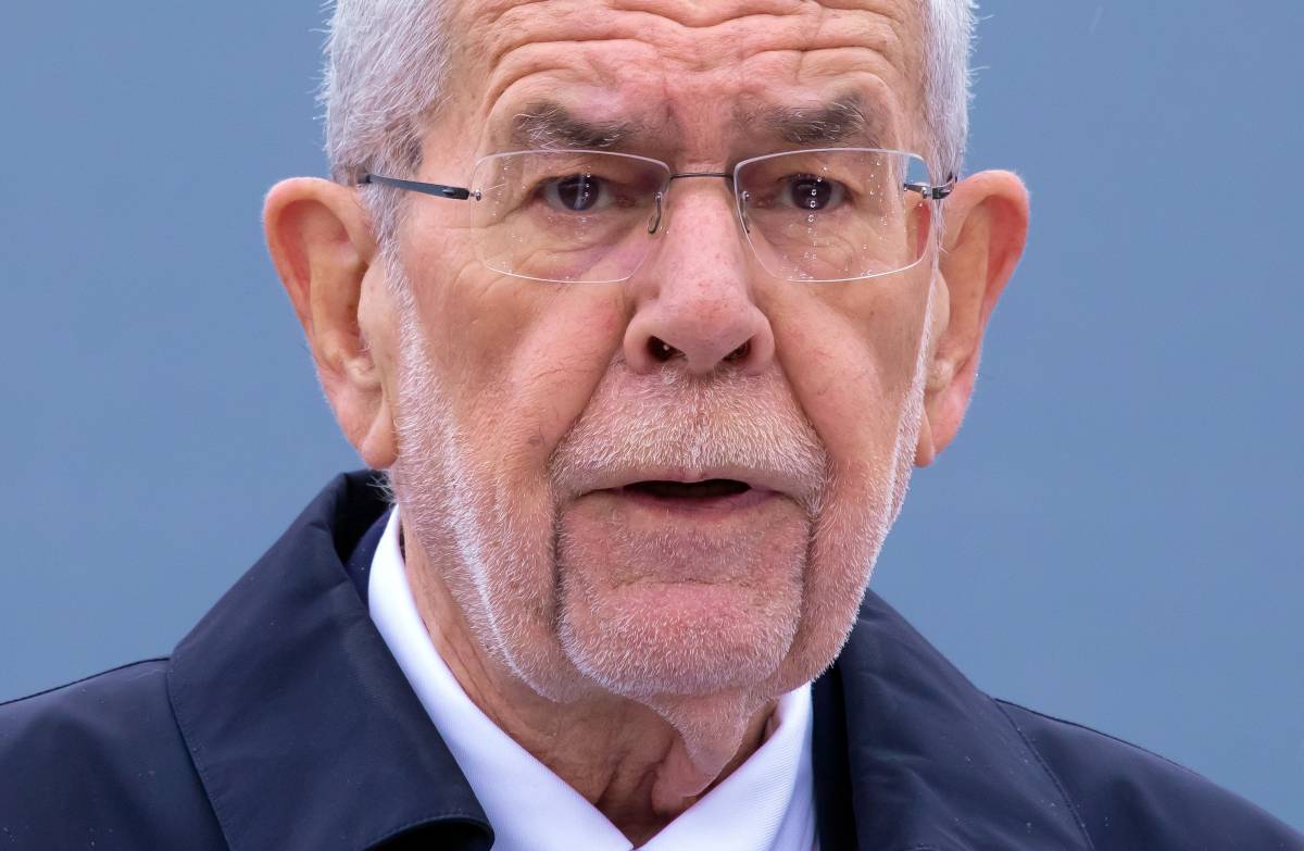 Рогов заявил, что президент Австрии Ван дер Беллен забыл о своих русских корнях