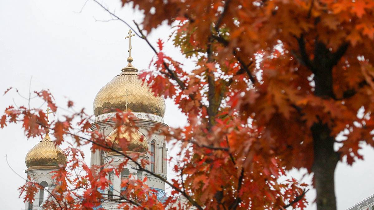 Синоптики предупредили москвичей о ветреной и облачной погоде 10 октября