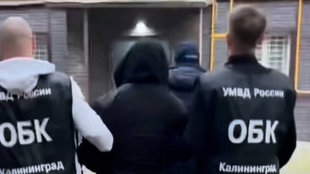 В Москве задержали мужчину за развращение школьниц из Калининграда