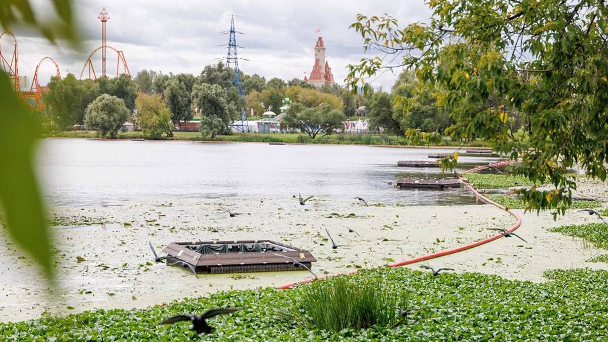 Специалисты «Мосводостока» следят за водой, попадающей в городские ливневки