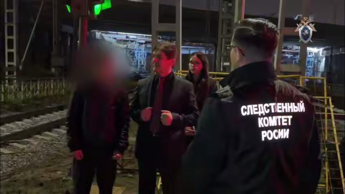 Полиция задержала москвича, бросившего кирпич в электричку в Подмосковье