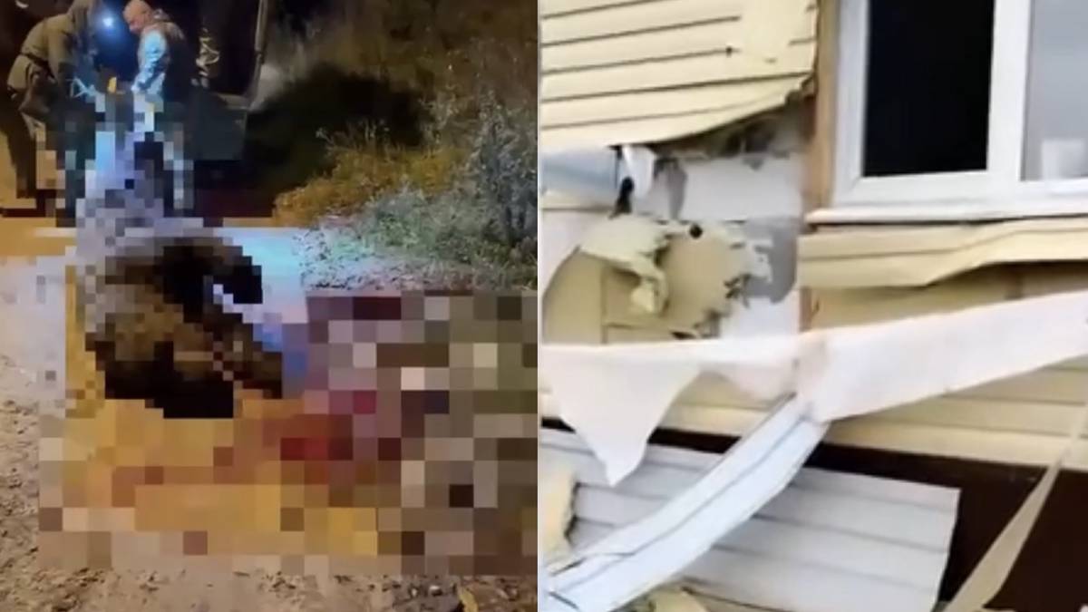 Медведь ворвался в дом пенсионерки в ХМАО