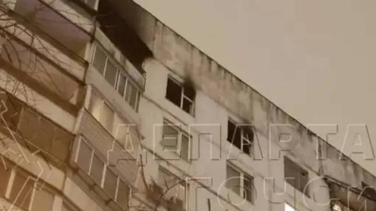 Восемь собак погибли при пожаре в квартире в 1-м Стрелецком проезде в Москве