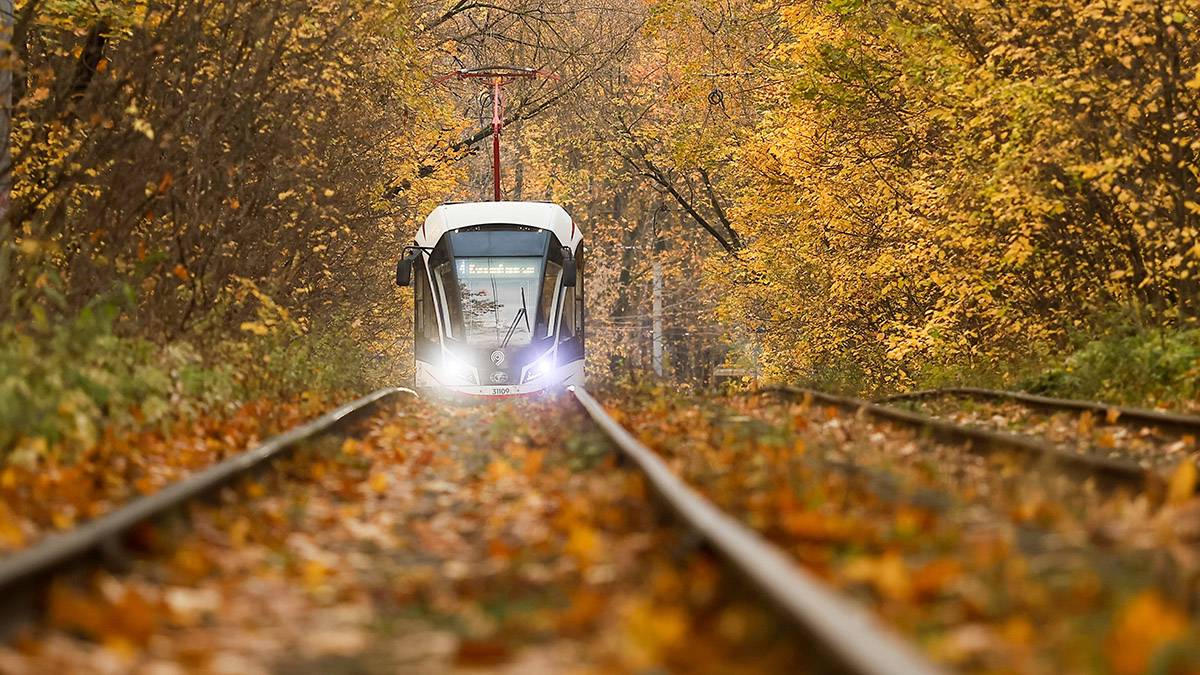 Макарова: Октябрь в Москве может стать одним из самых теплых за историю наблюдений