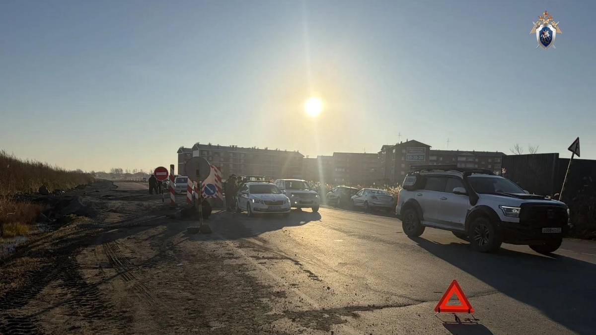 Девятилетняя девочка умерла под колесами машины под Хабаровском, водитель скрылся